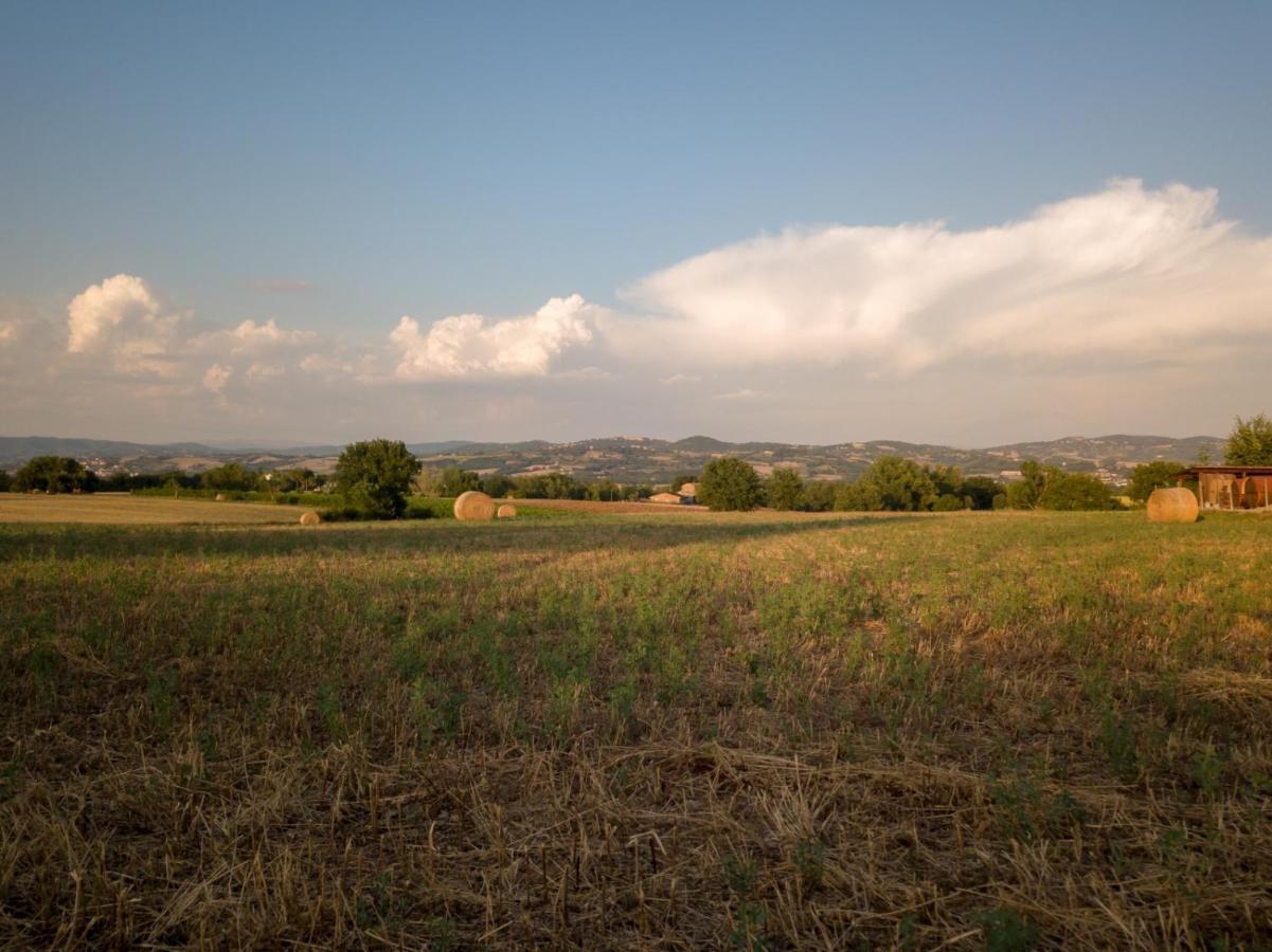 Agriturismo Consalvi Valentina Marsciano Exterior photo